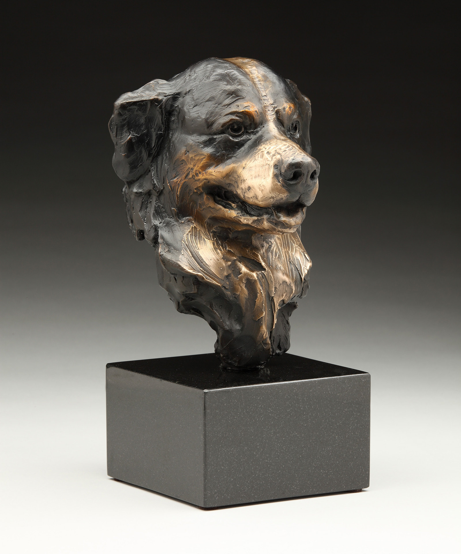 Mountain Treasure dog bronze sculpture by Daniel Glanz available at ...